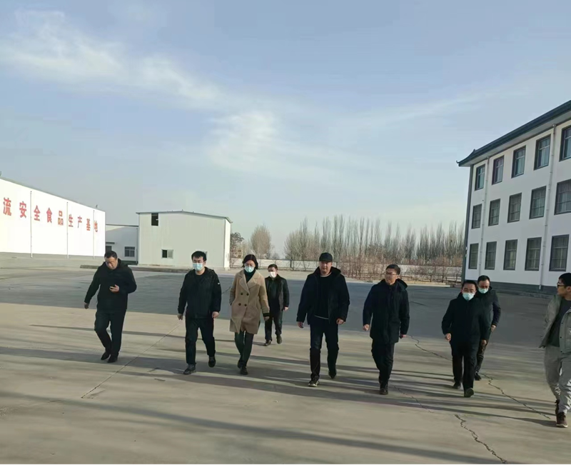 石嘴山市副市長(zhǎng)、惠農(nóng)區(qū)委書記王宇翔蒞臨寧夏興康恒潤(rùn)農(nóng)業(yè)科技發(fā)展有限公司調(diào)研